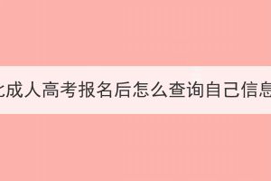 湖北成人高考报名后怎么查询自己信息？