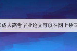 襄阳成人高考毕业论文可以在网上抄吗？