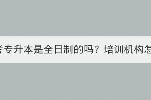 湖北成考专升本是全日制的吗？培训机构怎么选？