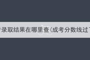 湖北成人高考录取结果在哪里查(成考分数线过了没被录取)