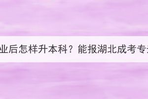 专科生毕业后怎样升本科？能报湖北成考专升本吗？