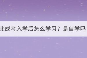 湖北成考入学后怎么学习？是自学吗？