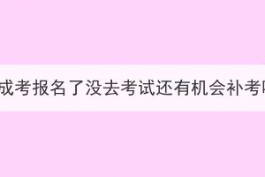 湖北成考报名了没去考试还有机会补考吗？