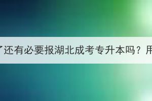 已经上班了还有必要报湖北成考专升本吗？用处大吗？