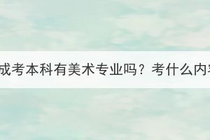 湖北成考本科有美术专业吗？考什么内容？