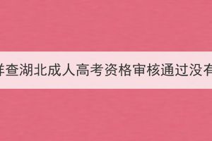 怎样查湖北成人高考资格审核通过没有？