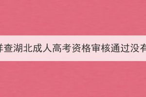 怎样查湖北成人高考资格审核通过没有？