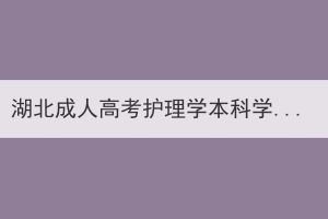 湖北成人高考护理学本科学历可以进公立医院吗？