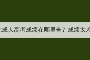 2023年湖北成人高考成绩在哪里查？成绩太差怎么办？