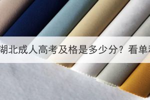 2023年湖北成人高考及格是多少分？看单科吗？