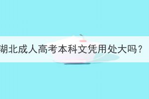 湖北成人高考本科文凭用处大吗？