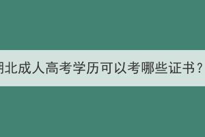 湖北成人高考学历可以考哪些证书？