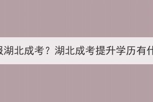 为什么要报湖北成考？湖北成考提升学历有什么优势？