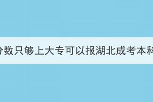 高考分数只够上大专可以报湖北成考本科吗？