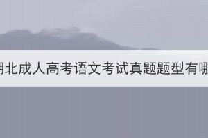 2023湖北成人高考语文考试真题题型有哪些？