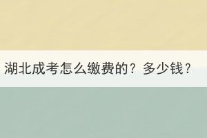 湖北成考怎么缴费的？多少钱？