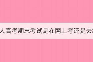 武汉成人高考期末考试是在网上考还是去线下？