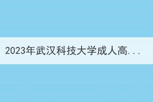 2023年武汉科技大学成人高考学士学位外语考试实施方案