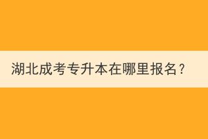 湖北成考专升本在哪里报名？