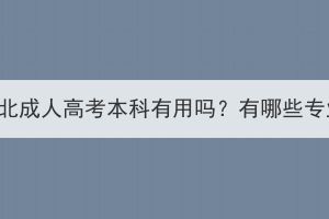 医学生考湖北成人高考本科有用吗？有哪些专业可以报？