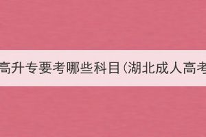 湖北成人高考高升专要考哪些科目(湖北成人高考考试时间)？