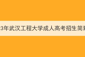 2023年武汉工程大学成人高考招生简章