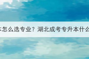 湖北成考专升本怎么选专业？湖北成考专升本什么专业好毕业？