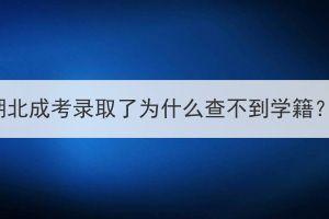 湖北成考录取了为什么查不到学籍？