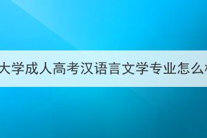 湖北大学成人高考汉语言文学专业怎么样？