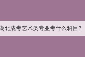 湖北成考艺术类专业考什么科目？