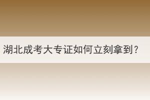 湖北成考大专证如何立刻拿到？