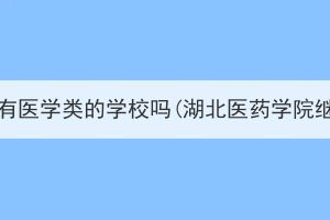 湖北成考高升专有医学类的学校吗(湖北医药学院继续教育学院)？