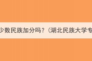 湖北成考专升本有少数民族加分吗？(湖北民族大学专升本录取分数线)