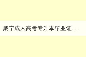 咸宁成人高考专升本毕业证可以考公务员吗？