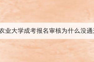 华中农业大学成考报名审核为什么没通过？