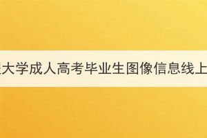 2024年武汉工程大学成人高考毕业生图像信息线上采集工作通知