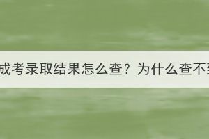 湖北成考录取结果怎么查？为什么查不到？