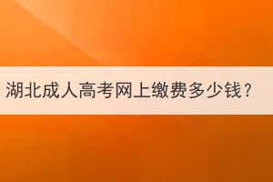 湖北成人高考网上缴费多少钱？