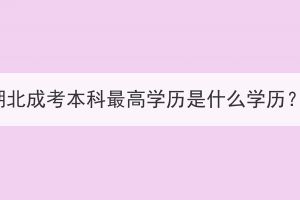 湖北成考本科最高学历是什么学历？