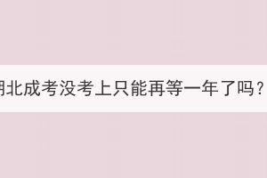 湖北成考没考上只能再等一年了吗？