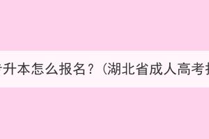 湖北成考专升本怎么报名？(湖北省成人高考报名平台)