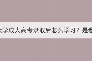 武汉纺织大学成人高考录取后怎么学习？是看网课吗？