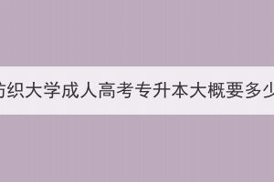 武汉纺织大学成人高考专升本大概要多少分？