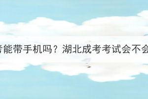 湖北成考能带手机吗？湖北成考考试会不会很严？