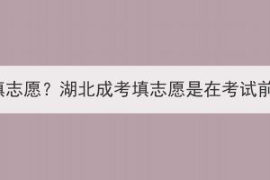 湖北成考怎么填志愿？湖北成考填志愿是在考试前还是考试后？