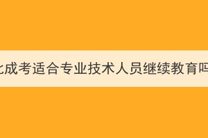 湖北成考适合专业技术人员继续教育吗？