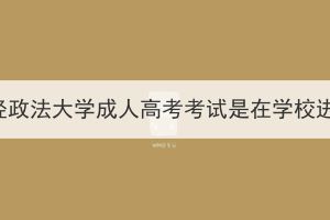 中南财经政法大学成人高考考试是在学校进行吗？