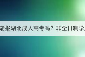 中专毕业证能报湖北成人高考吗？非全日制学历有用吗？