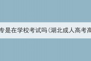 湖北成人高考高升专是在学校考试吗(湖北成人高考高升专有必要吗)？