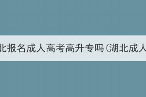 外地人可以在湖北报名成人高考高升专吗(湖北成人高考报名官网)